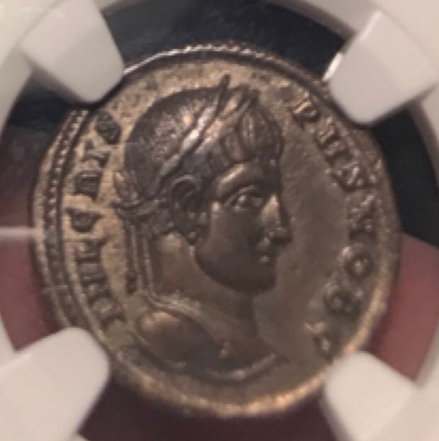 Tolken - Glacier National Park