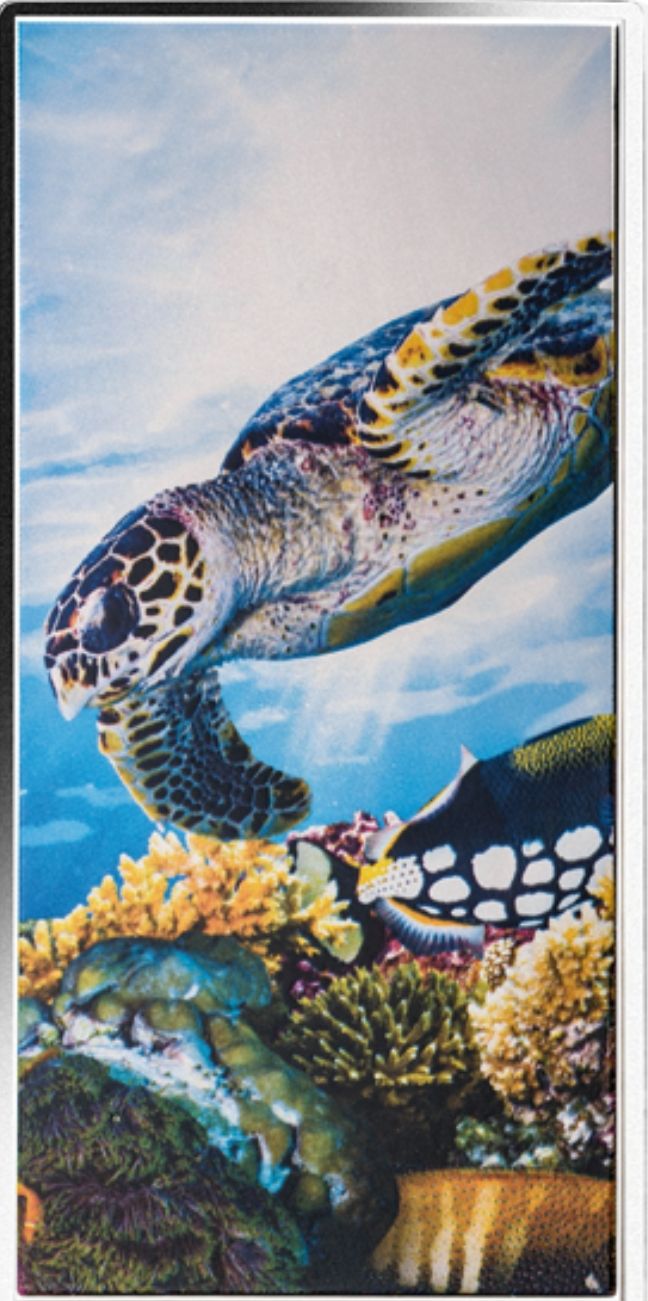 Canadian Steel 5 Cent Coin 1961