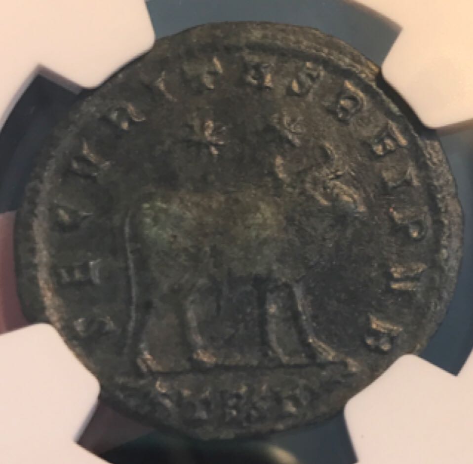 Julian II Double Maiorina AE1 (NGC)  coin collectible - Main Image 2