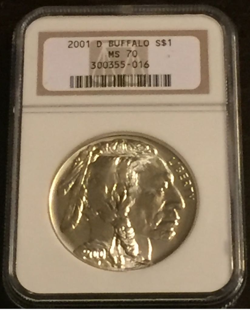 Mammuthus Primigenius