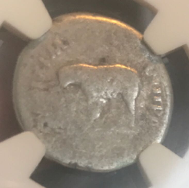 Titus Denarius (NGC)  coin collectible - Main Image 2