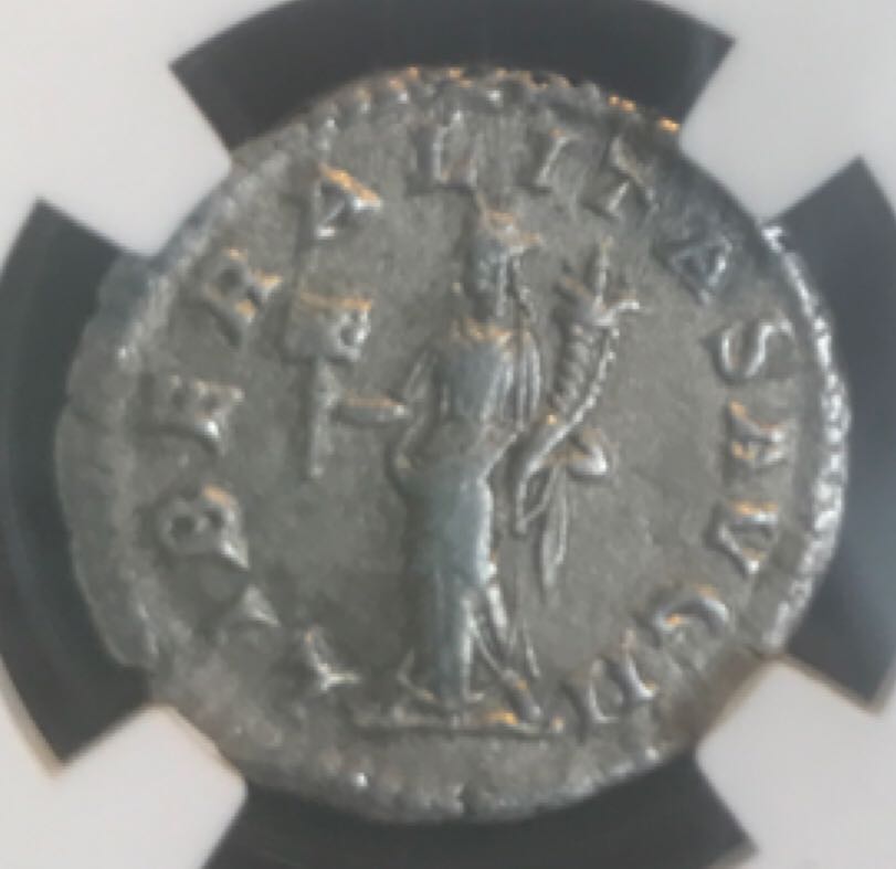 Elagabalus Denarius (NGC)  coin collectible - Main Image 2