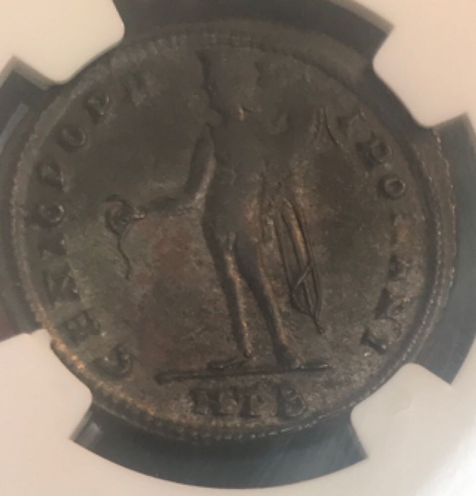 Maximinus II (as Caesar) Follis (NGC)  coin collectible - Main Image 2