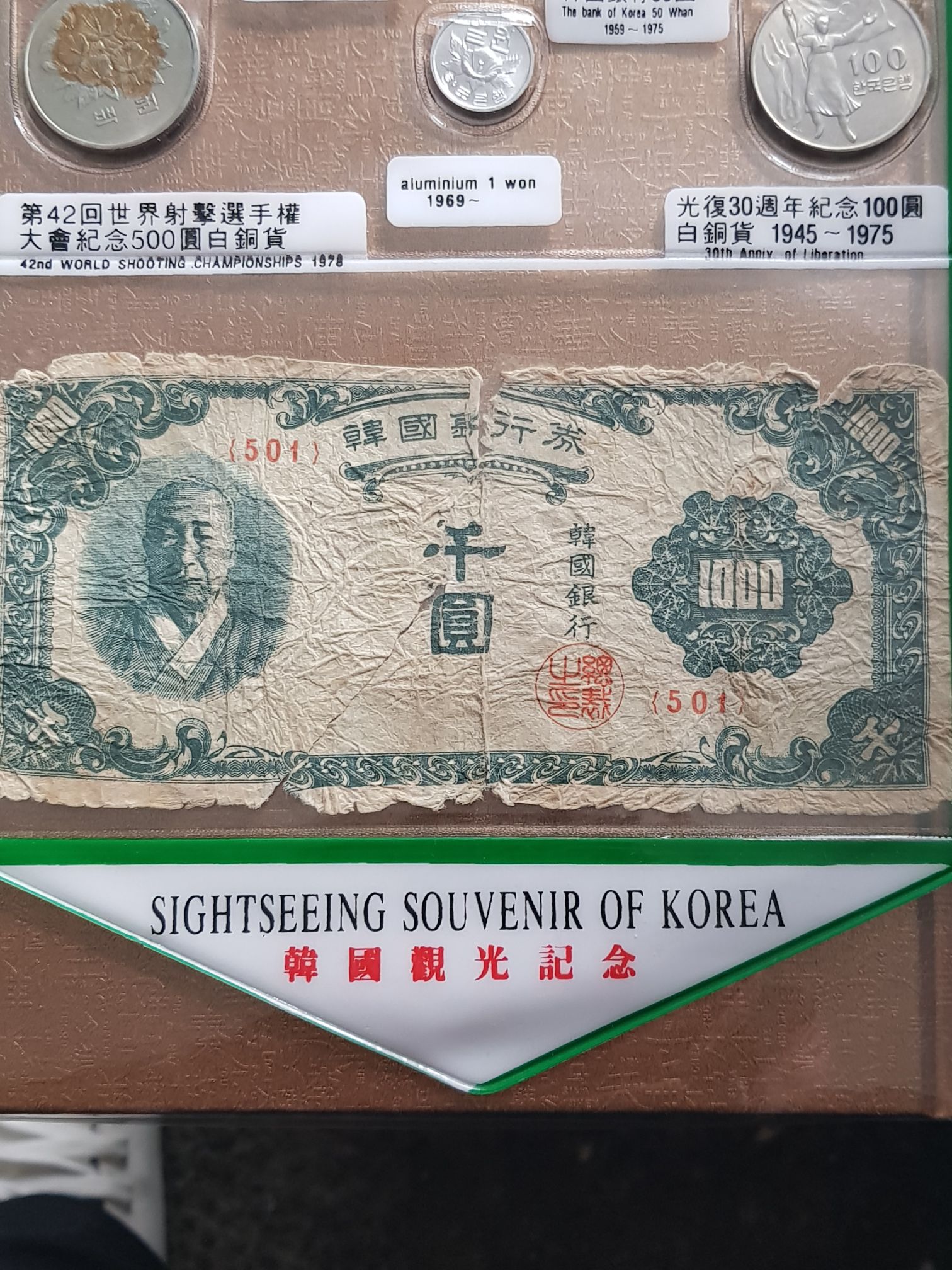 Canada Bison/ Buffalo