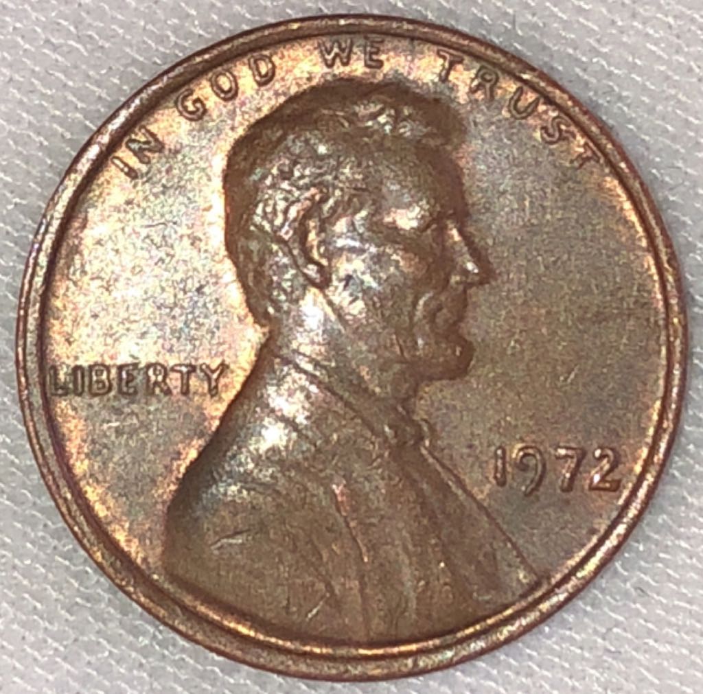 Grant Teton: Grizzly Bear Token #67941