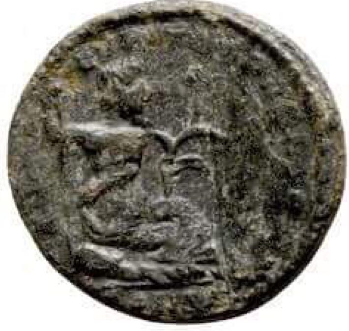 Hanniballianus Reduced Centenionalis  coin collectible - Main Image 2