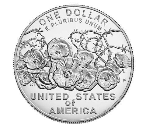 World War I Centennial Silver Dollar coin collectible - Main Image 2