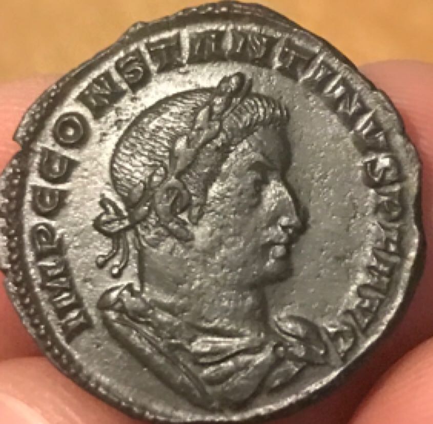 Maakuntien eläimet: Savo