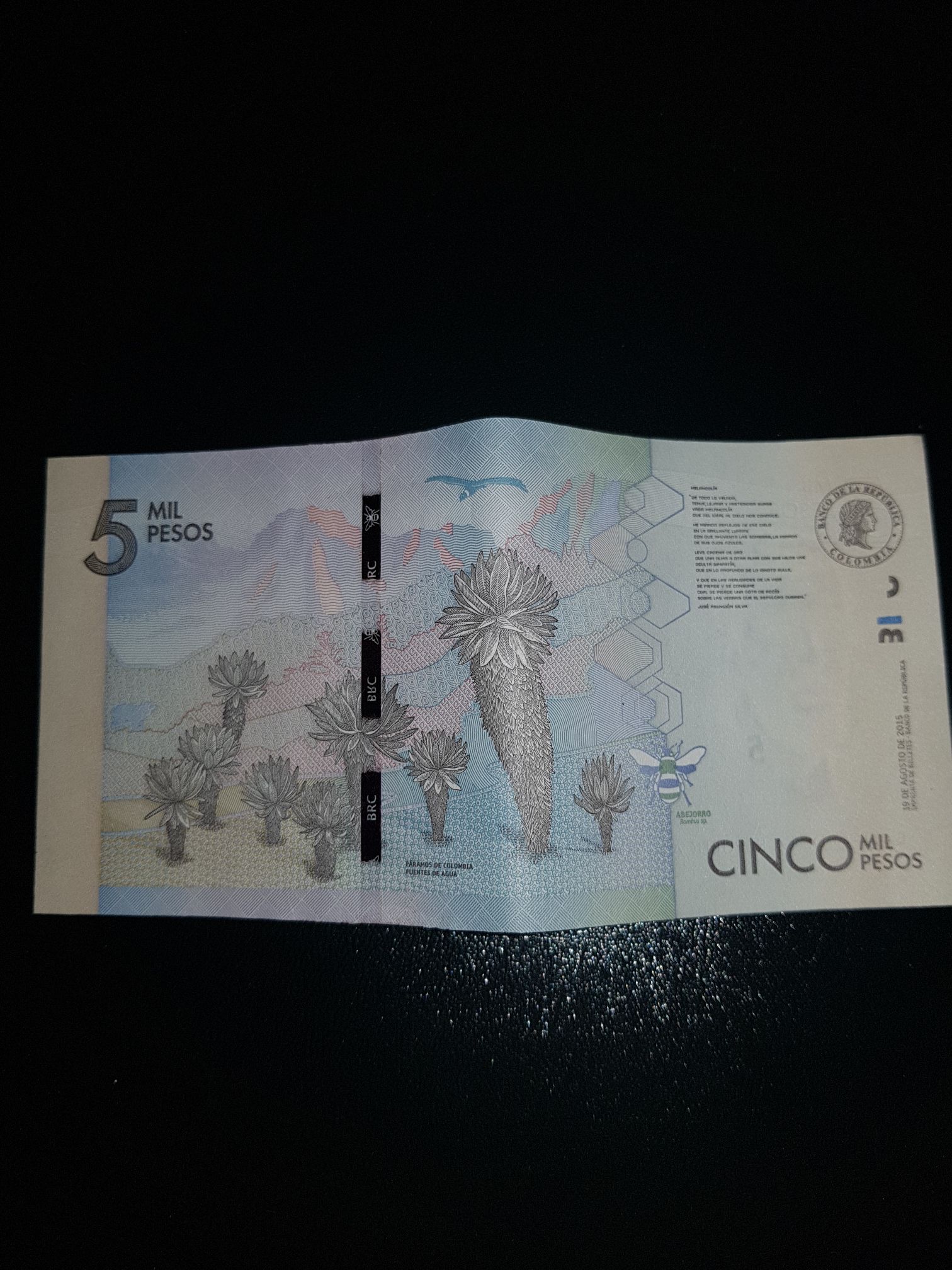 5 Mil Pesos  coin collectible - Main Image 2