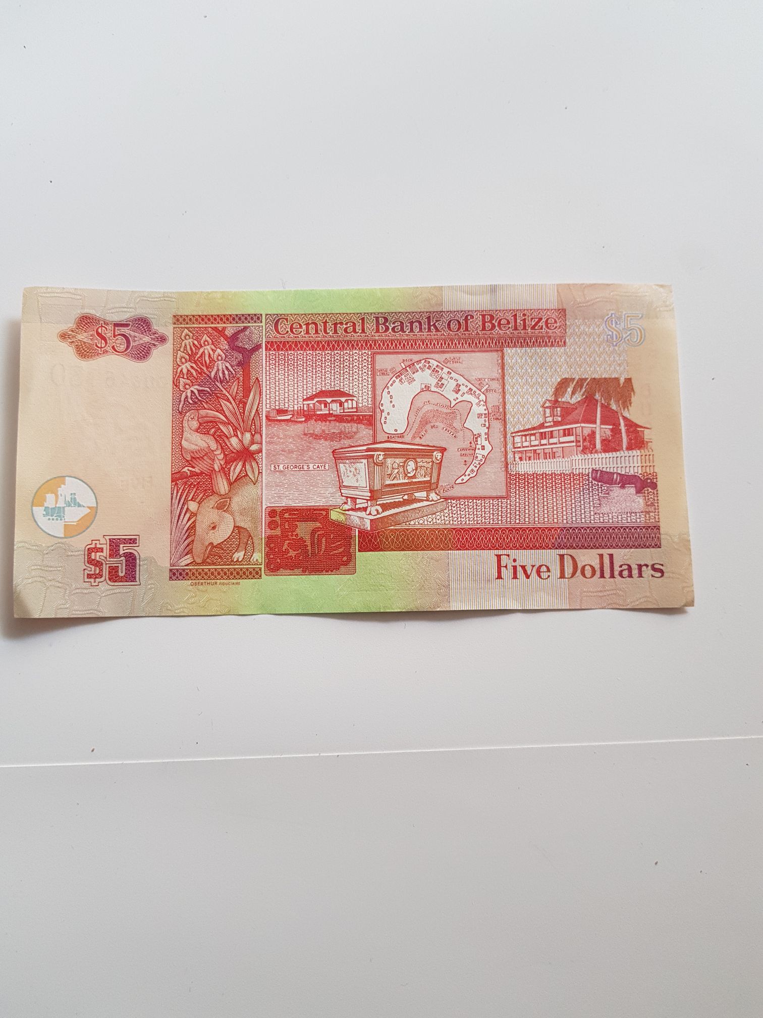 Five Dollars  coin collectible - Main Image 2