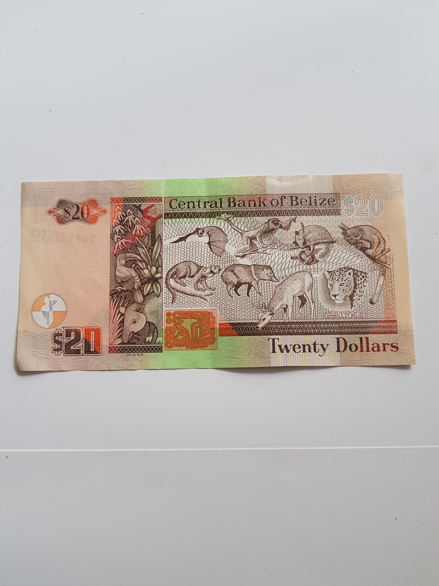 Twenty Dollars  coin collectible - Main Image 2