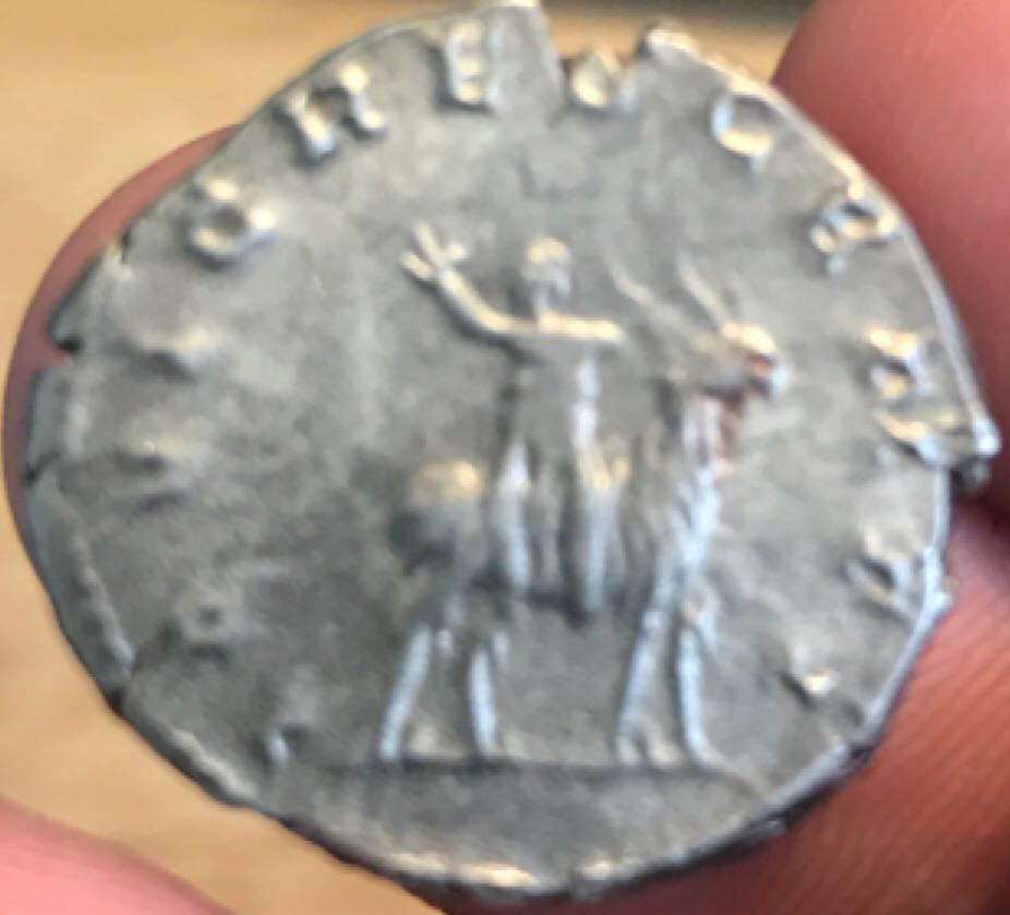 Valerian II Antoninianus  coin collectible - Main Image 2