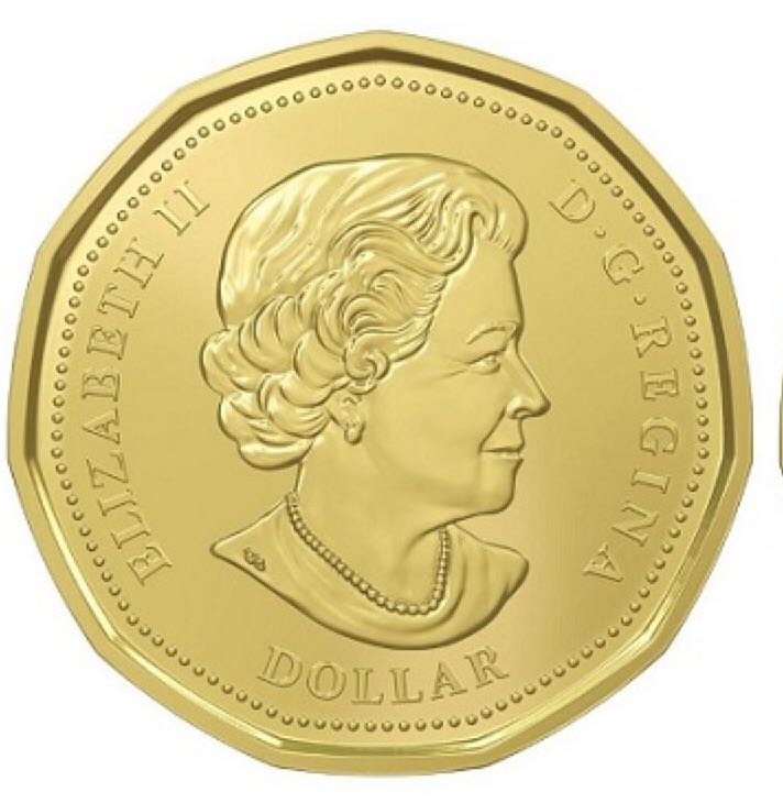 2016 CanadianLucky Loonie Sports Dollar Coin  coin collectible - Main Image 2