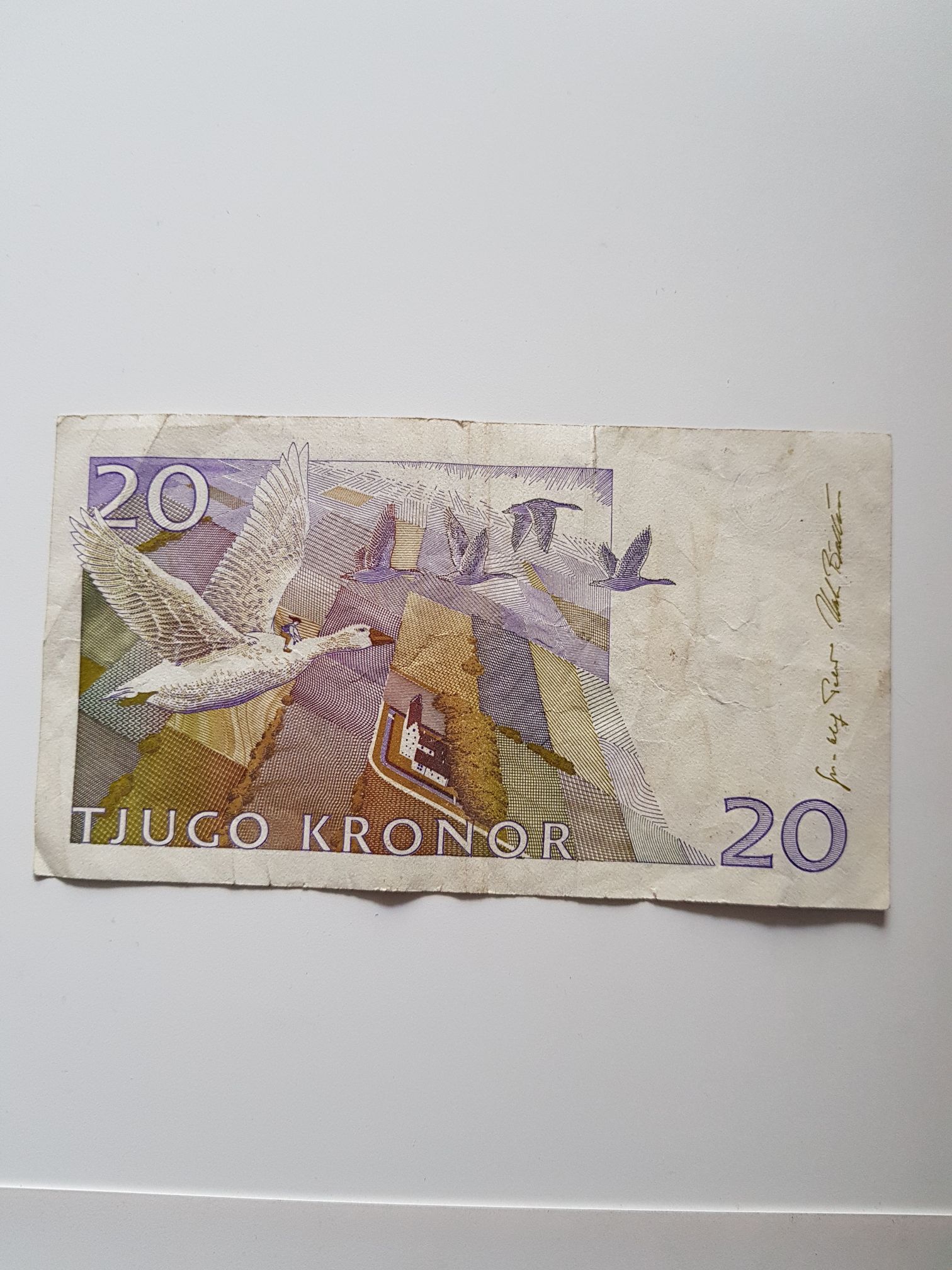 20 Coronas  coin collectible - Main Image 2