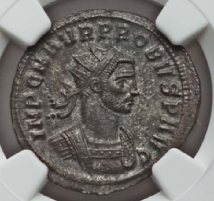 Niue African Lion - Silver 1oz