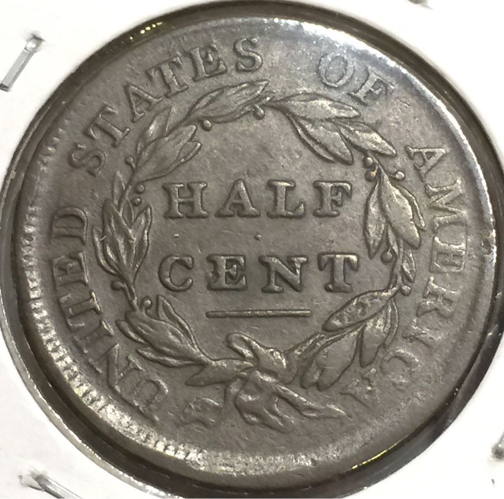 Half Cent  coin collectible - Main Image 2