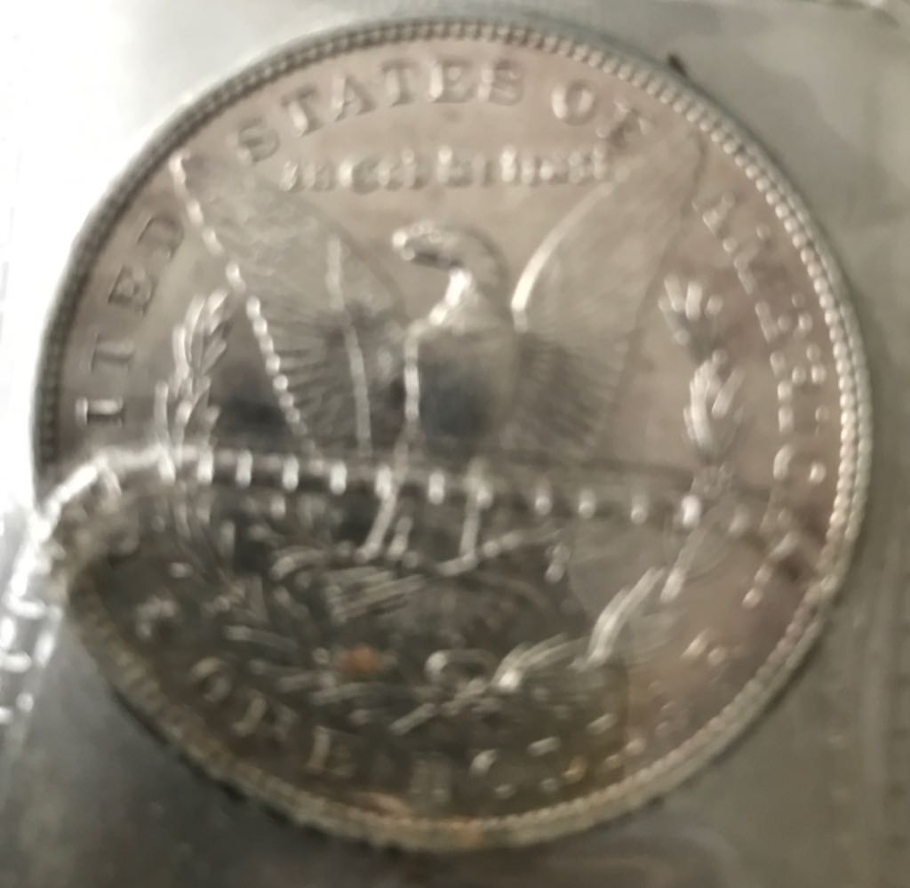 Morgan Silver Dollar 1900-O  coin collectible - Main Image 2