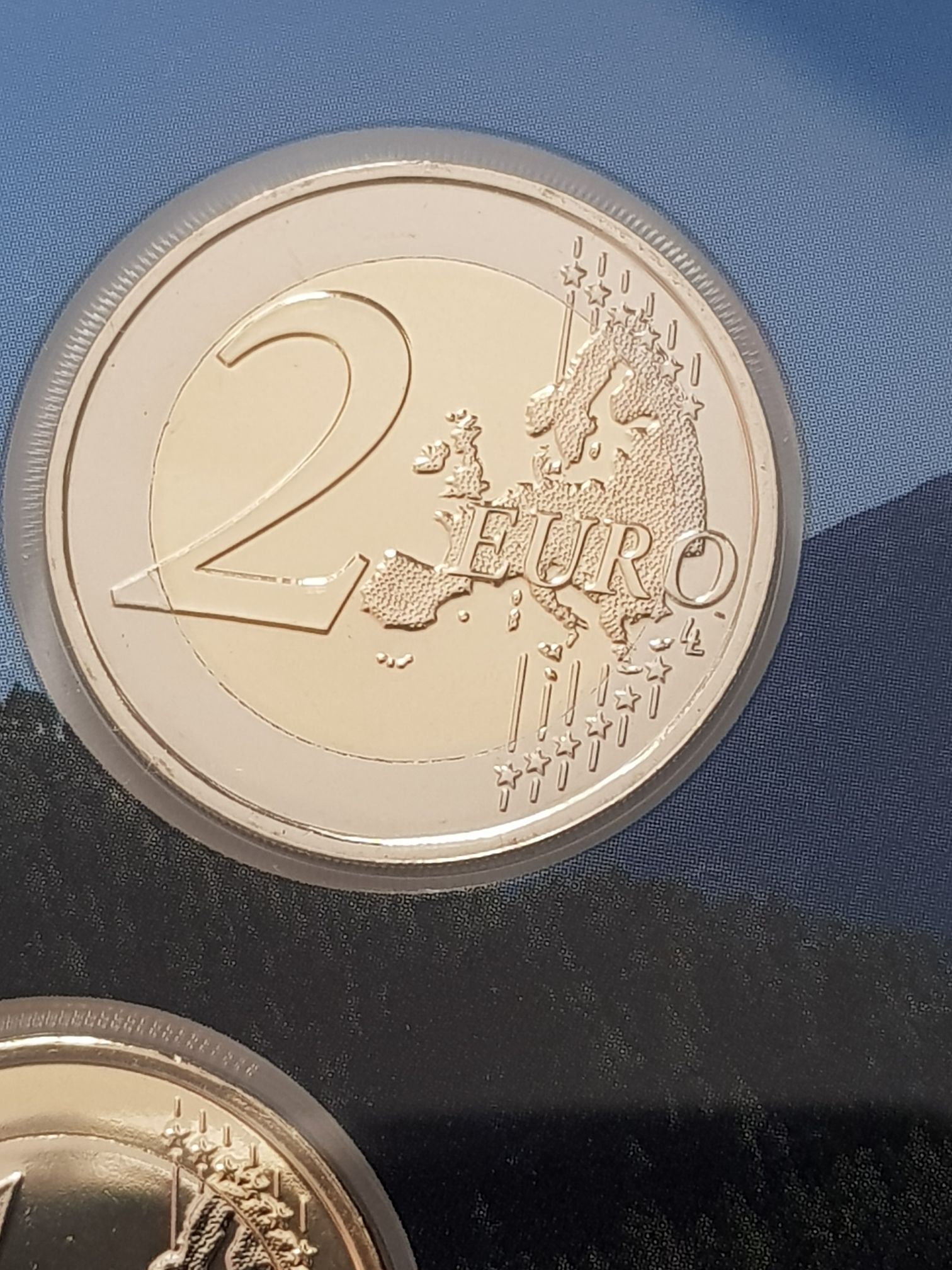 All Hail The Silver Bug- Dynastinae ( Rhinoceros Beetle)