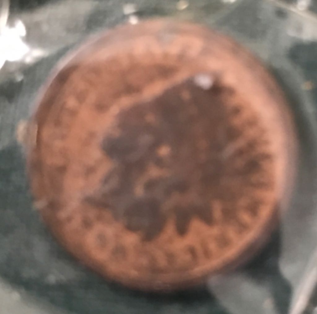 Queens Beasts 2018 - The Black Bull Of Clarence Proof