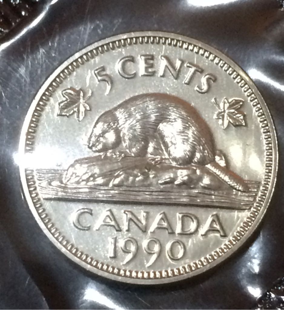 Constantius Gallus Maiorina AE2 (NGC)