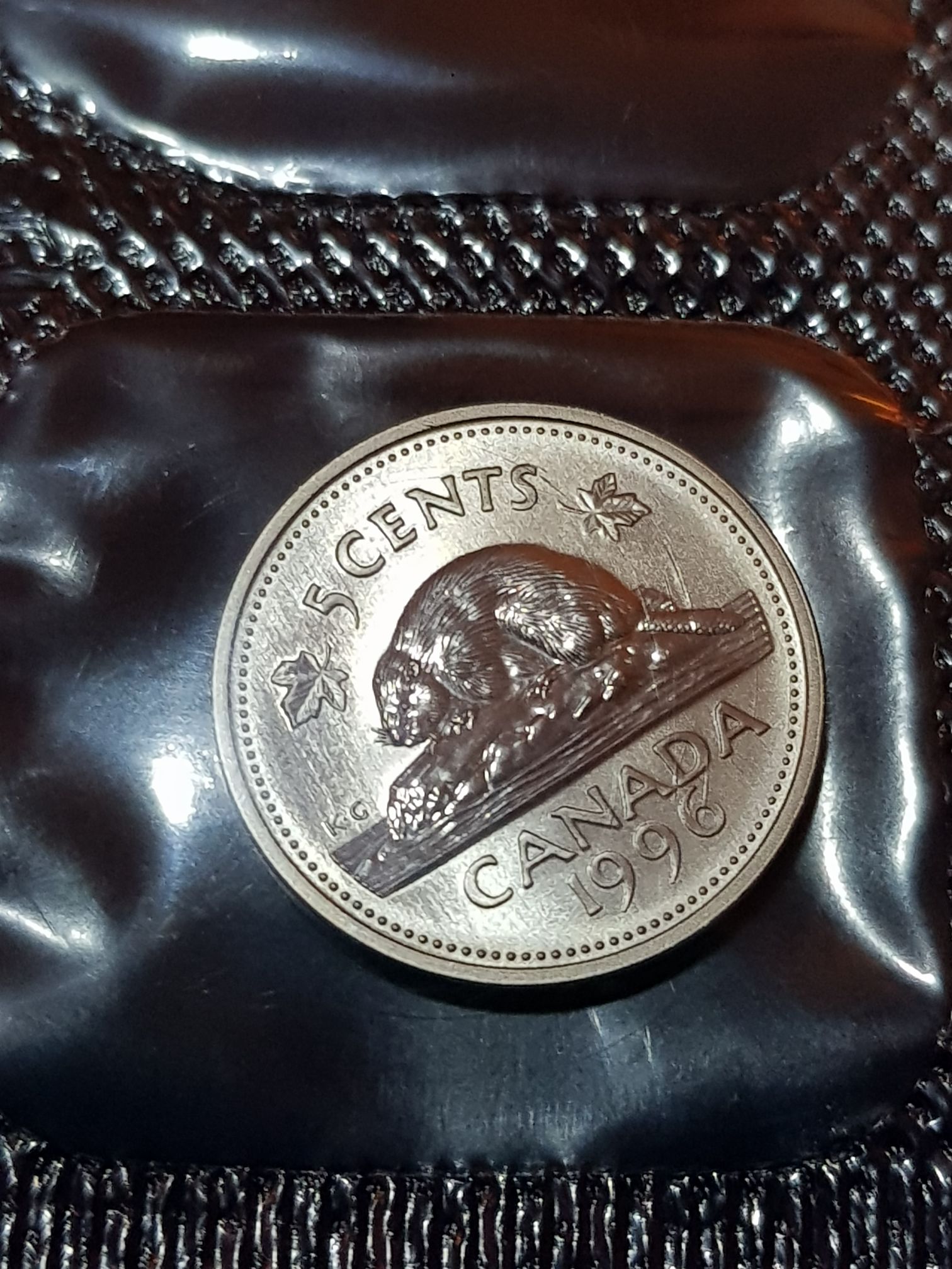 The Northern Sky Cassiopeia