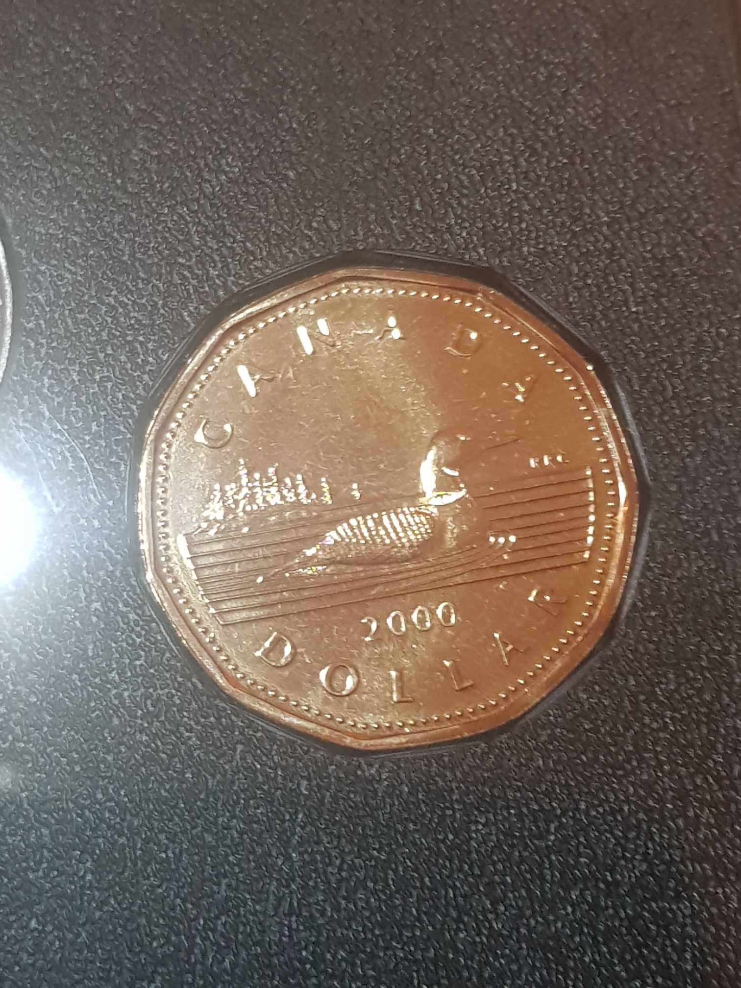 2016 CanadianLucky Loonie Sports Dollar Coin
