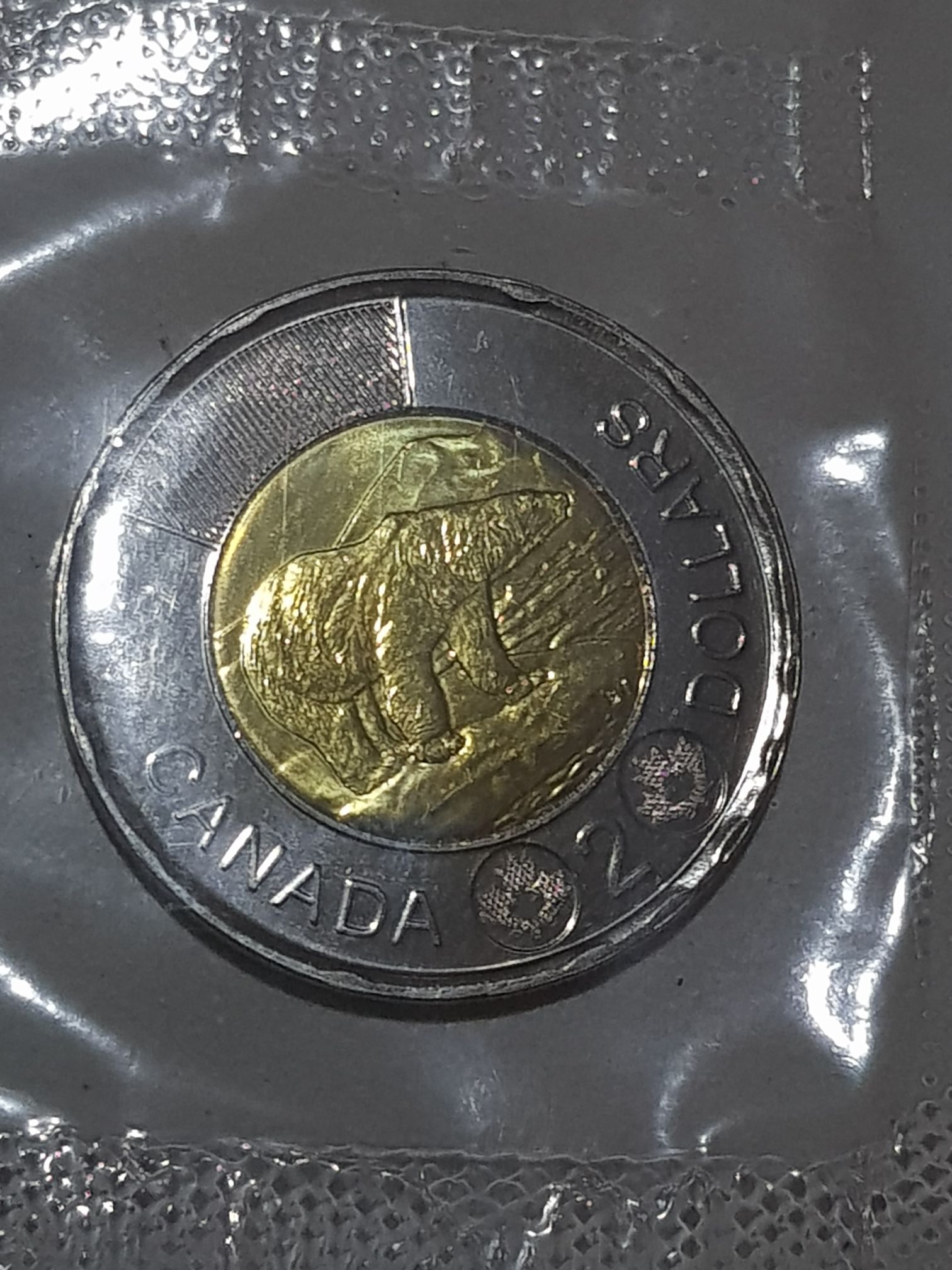 Competition Medal - Chocolates