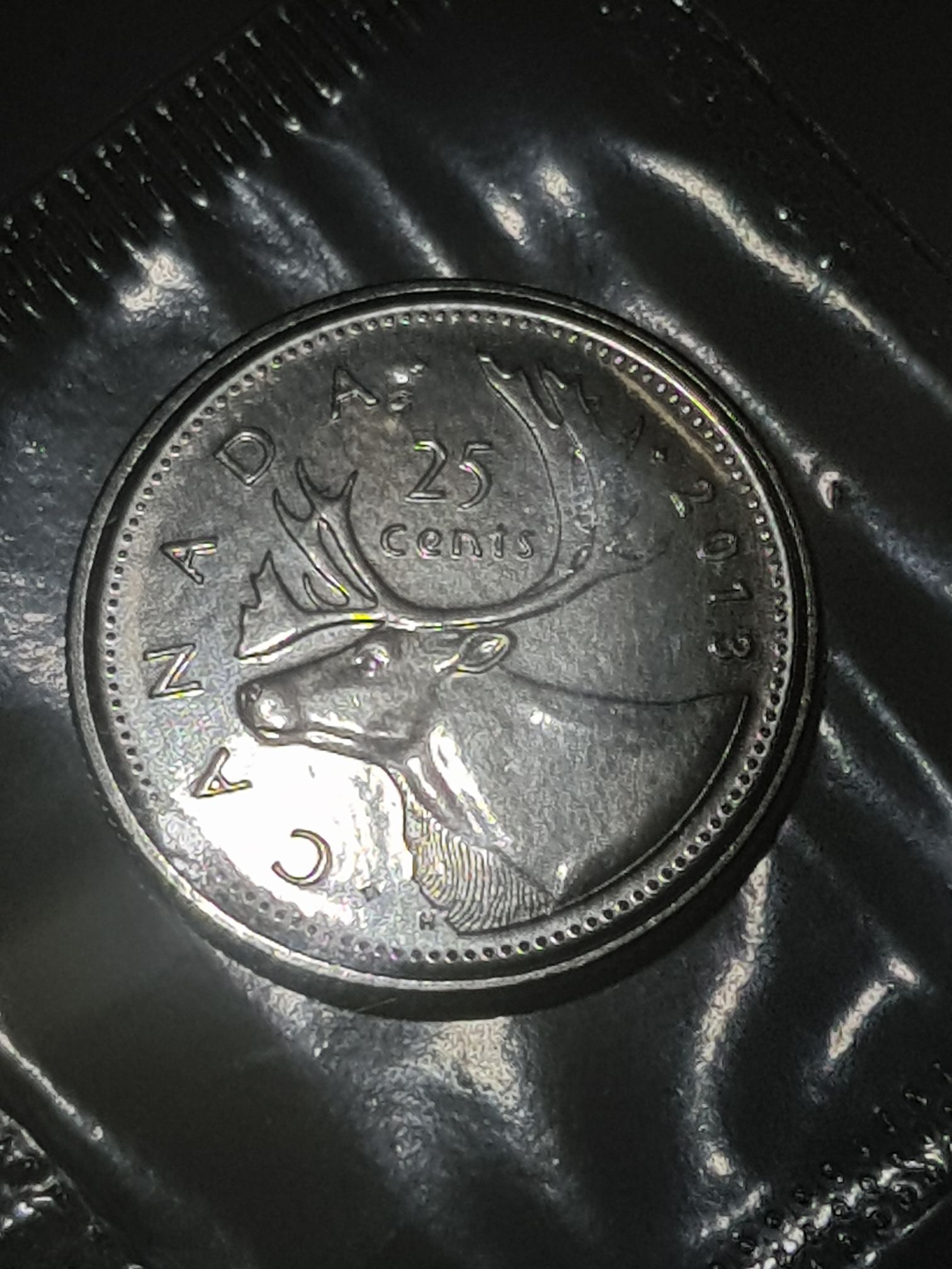 Rememberence Poppy Coin 