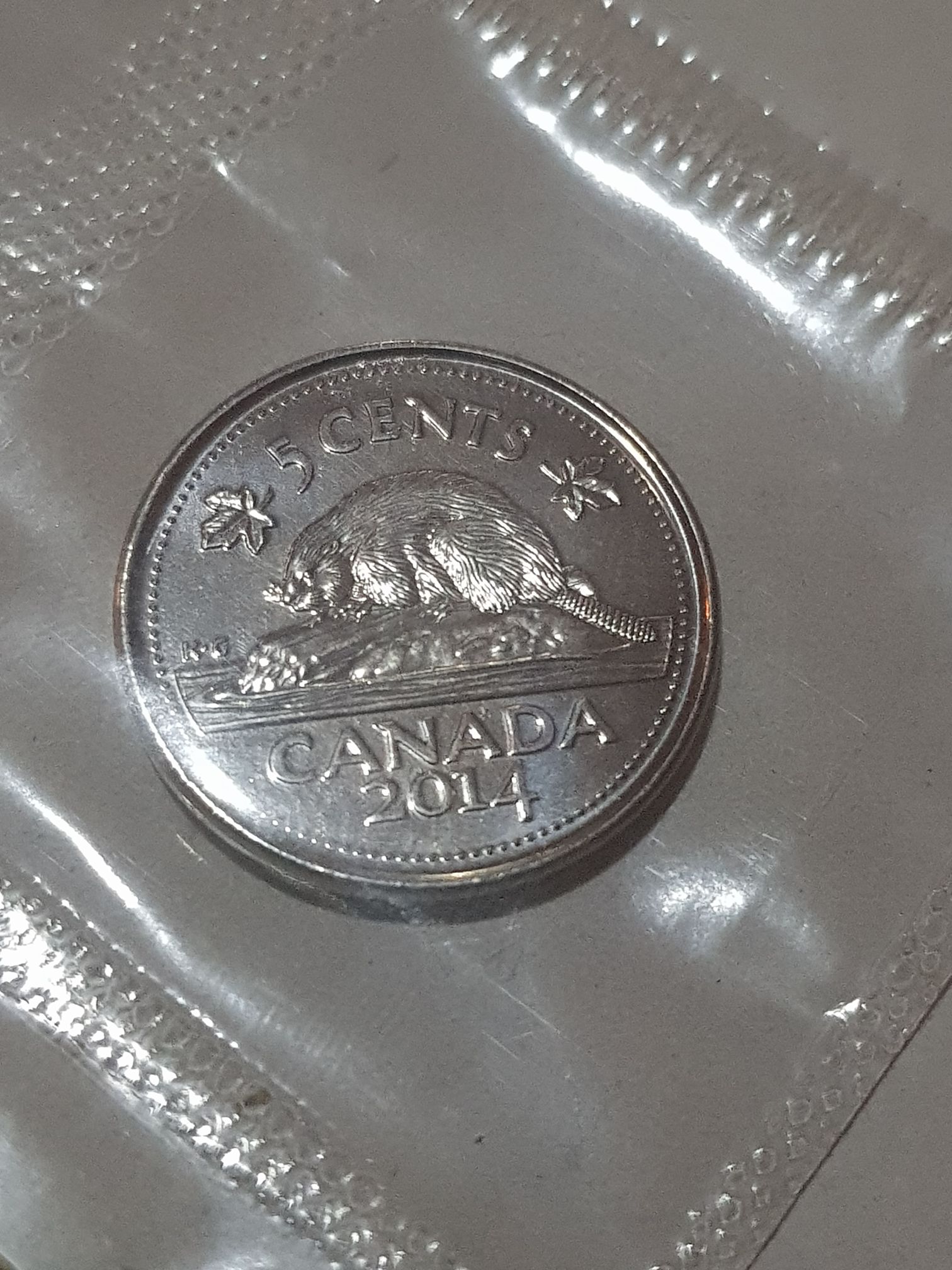 FL: 2004 20 Pence Sheep