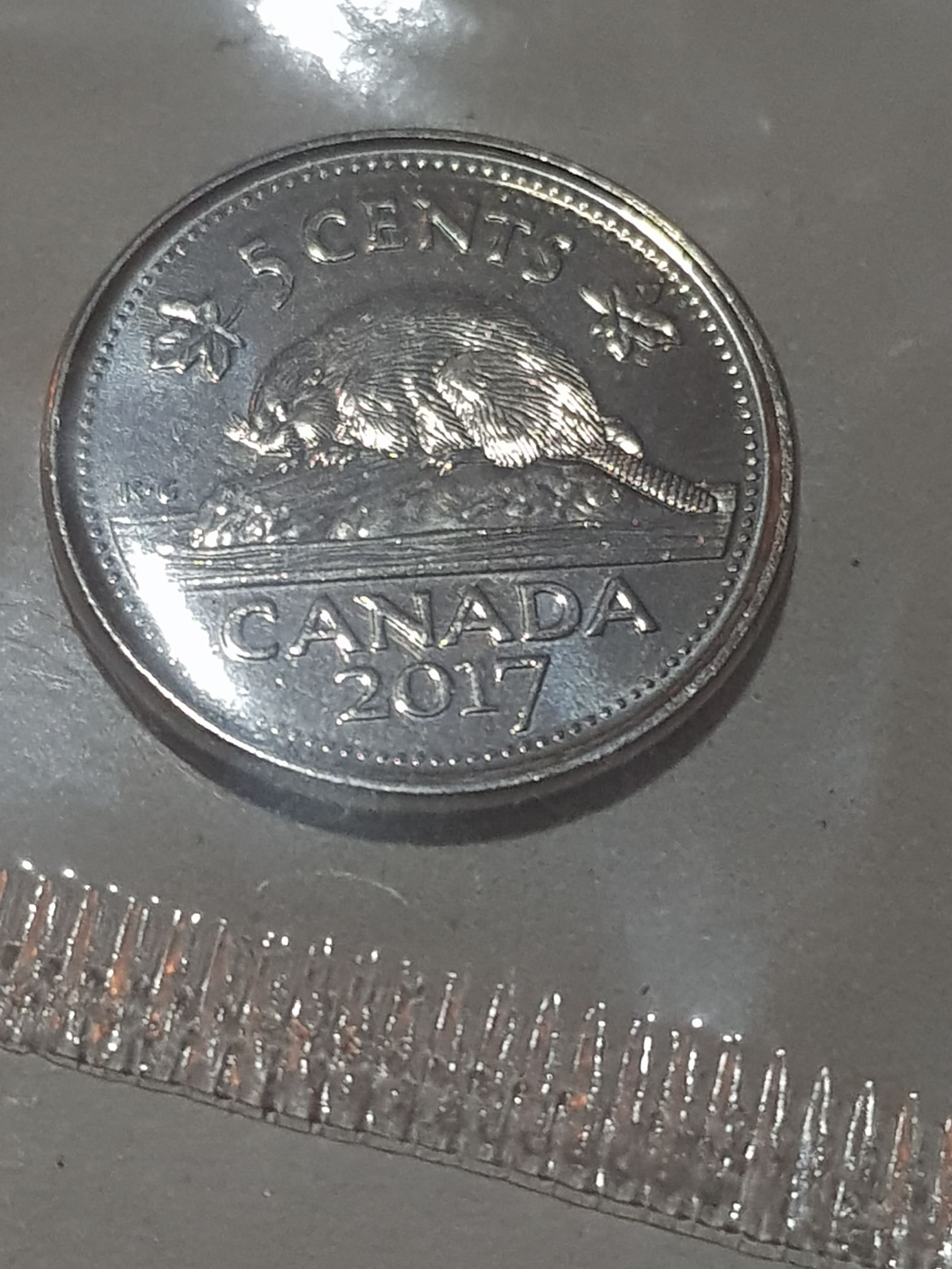 Aus Yellow Bellied Sea Snake Coin