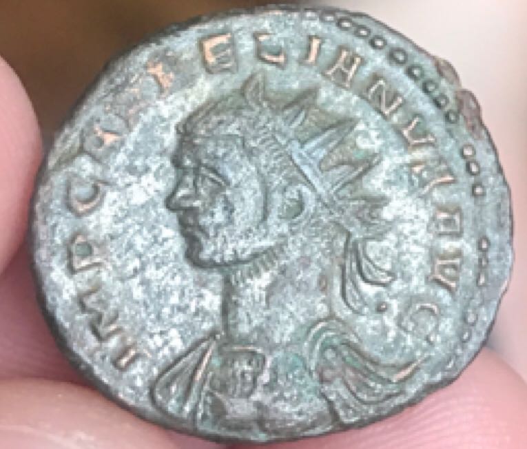 £1 Scottish Thistle 