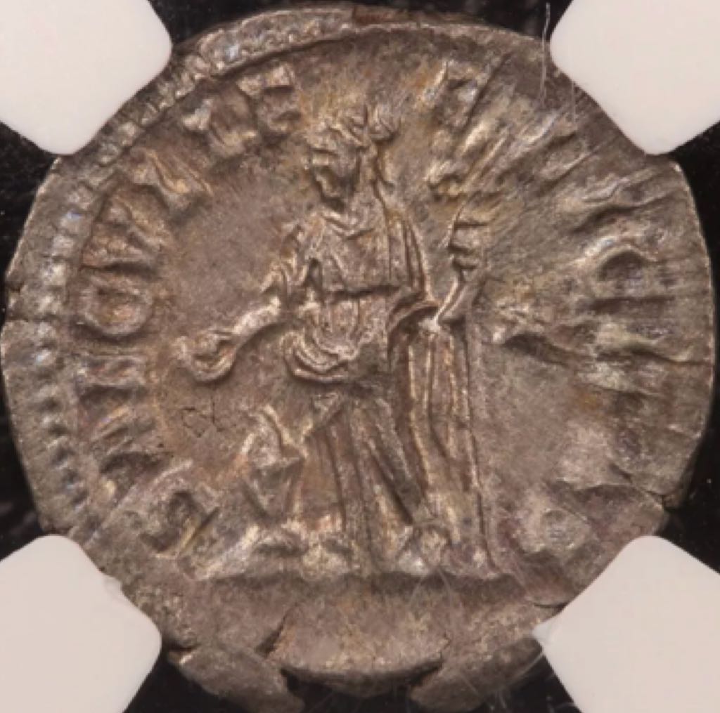 Julia-Maesa Denarius (NGC)  coin collectible - Main Image 2
