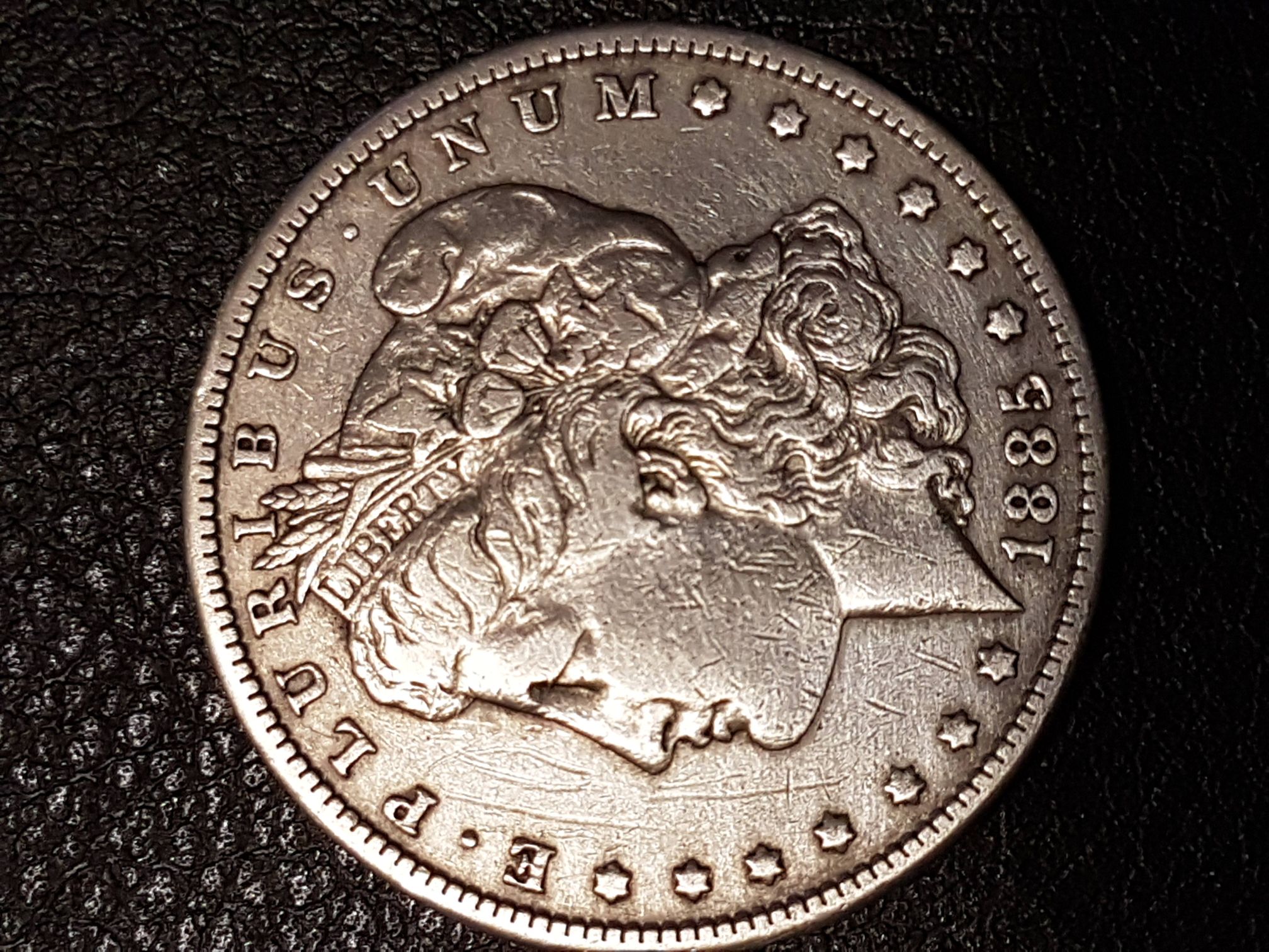 Various Vacations - Guiness World Records (Robert Waldow Tallest Man) Gatlingburg TN Token