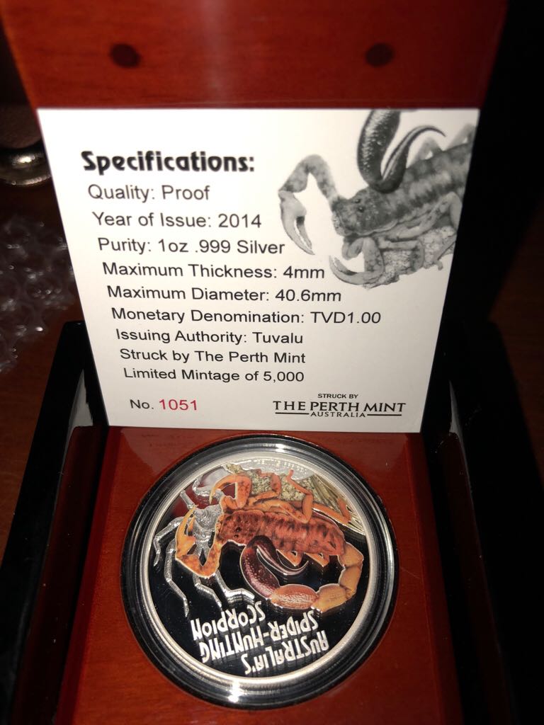 Contemporary Resort Peter Pan