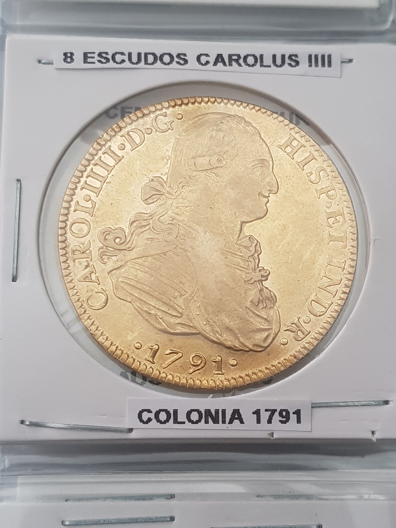 1 Sol #3 Wild Fauna Threatened