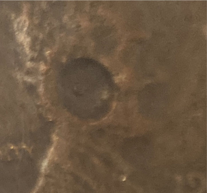 Lincoln Memorial Cent 1981.D BN  coin collectible - Main Image 2