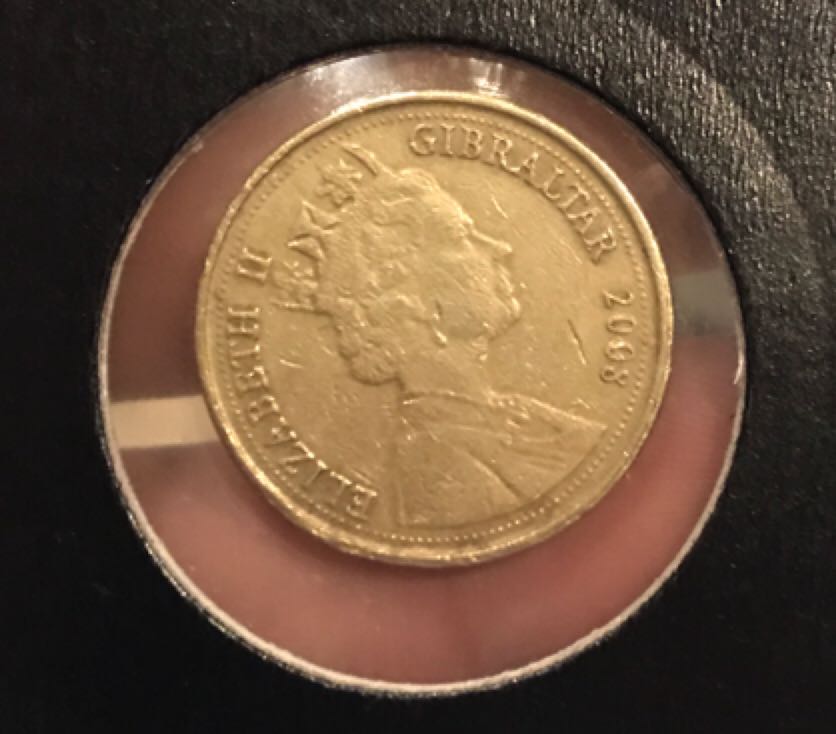 IOM: 2008 1 Pound Skull  coin collectible - Main Image 2