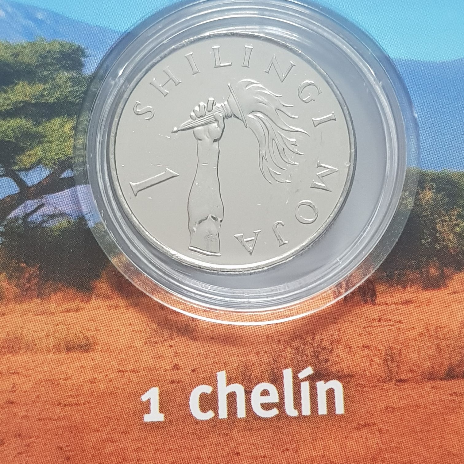 2014 P Pedro Martinez