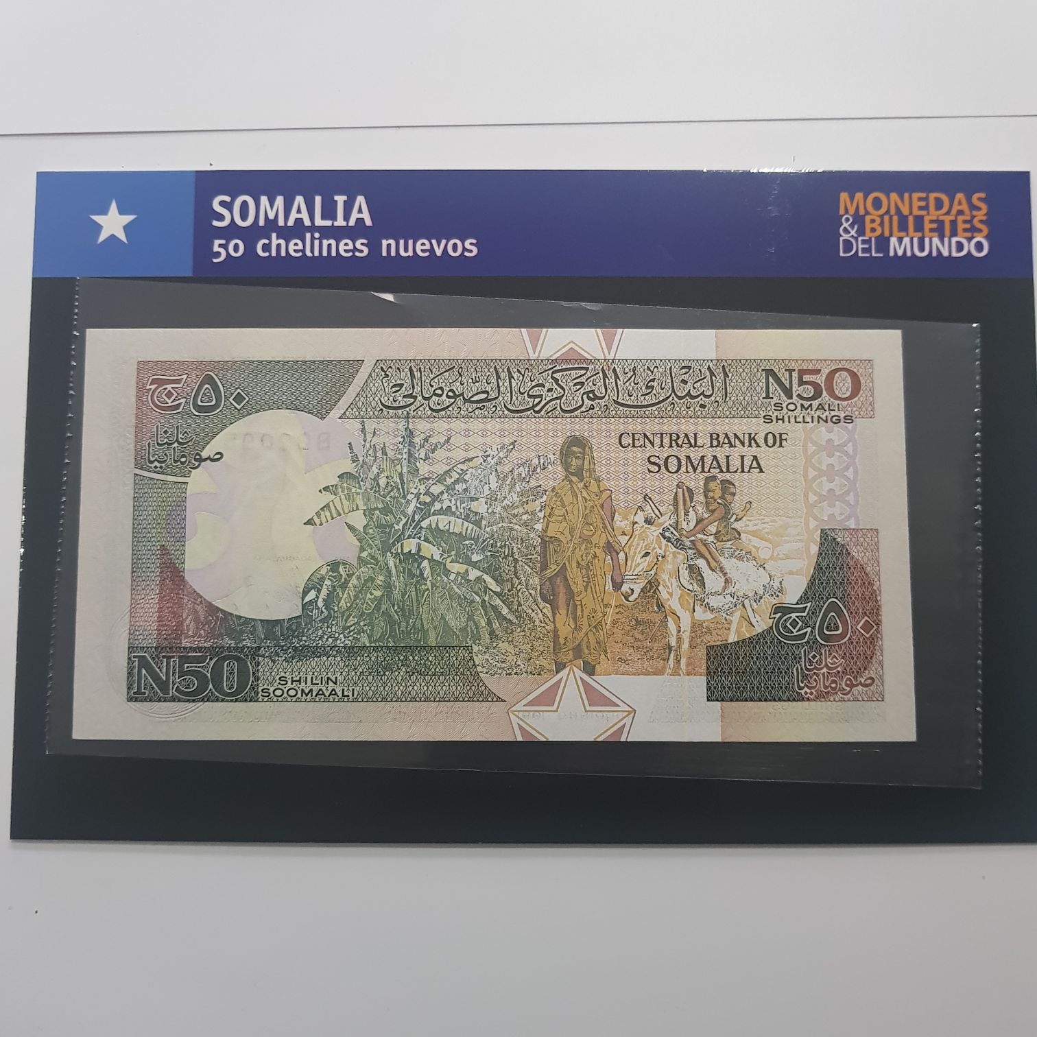 50 Chelines  coin collectible - Main Image 2