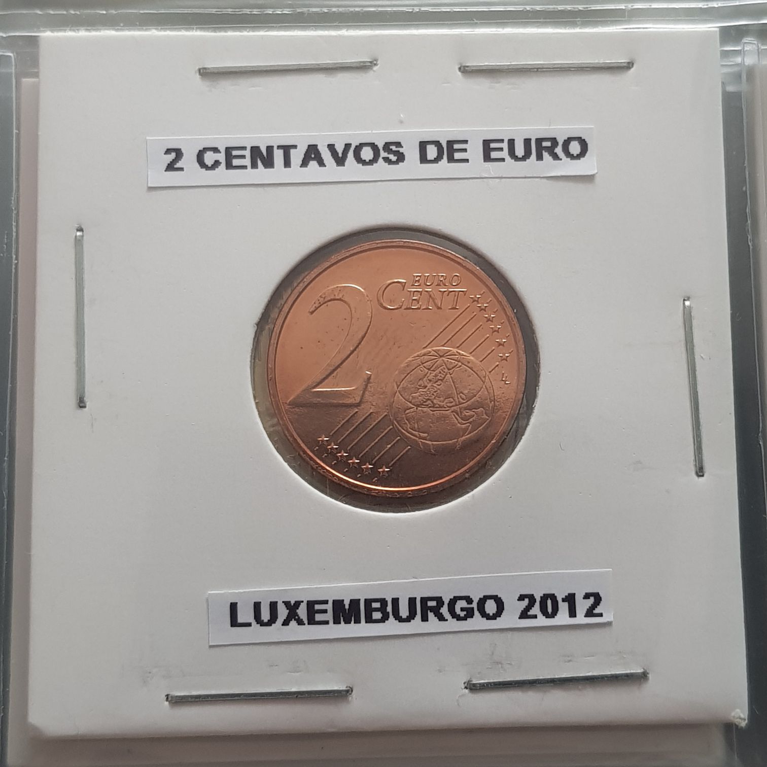 Magic Kingdom Bear Rabbit