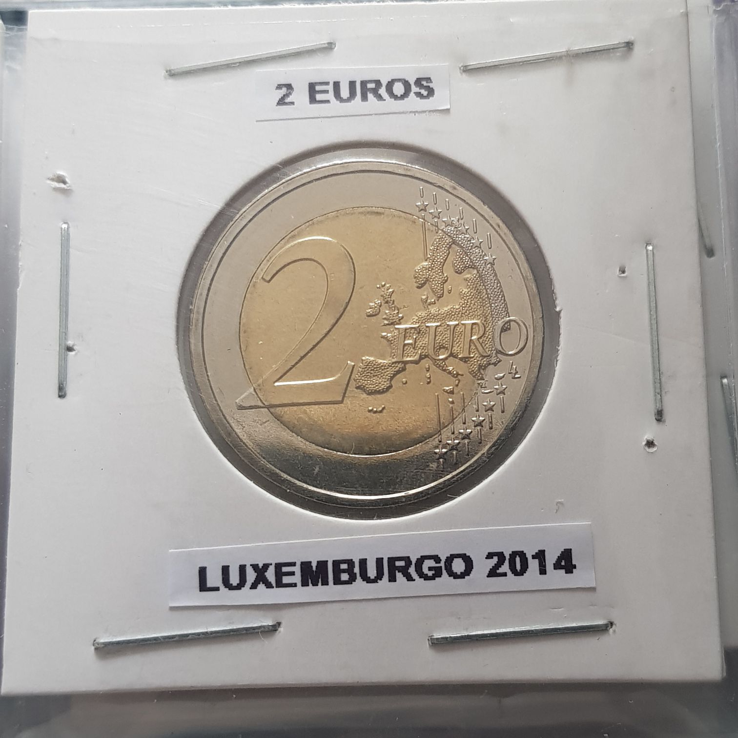 The Northern Sky Cygnus