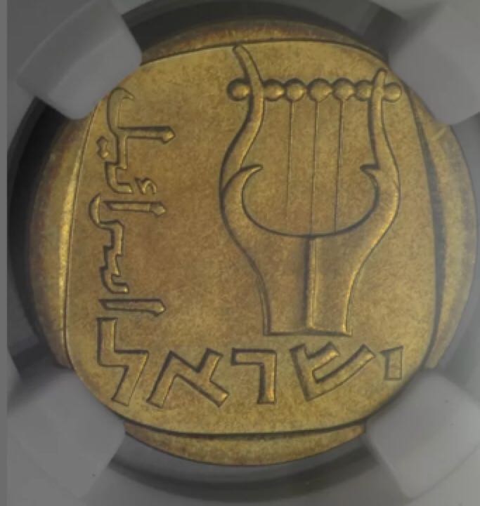 Adventureland Magic Kingdom