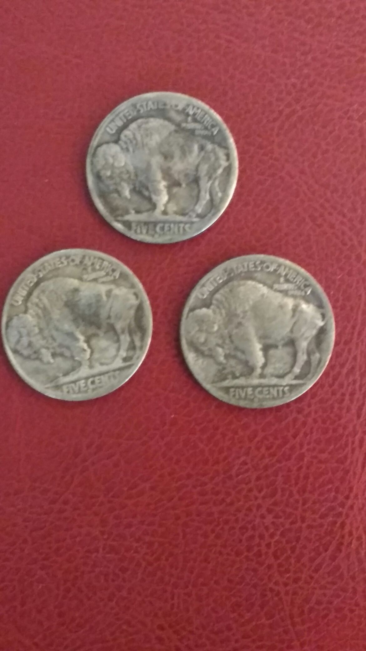 FL: 2011 5 Pence seagull