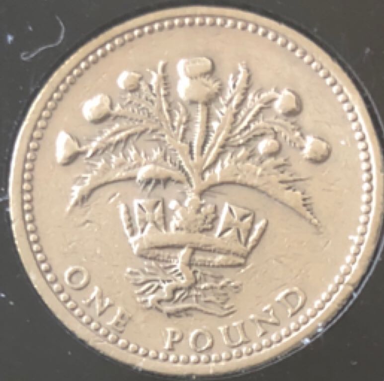 Holey Dollar Dump Set