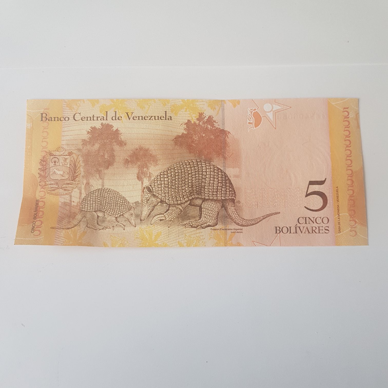 5 Bolívares  coin collectible - Main Image 2