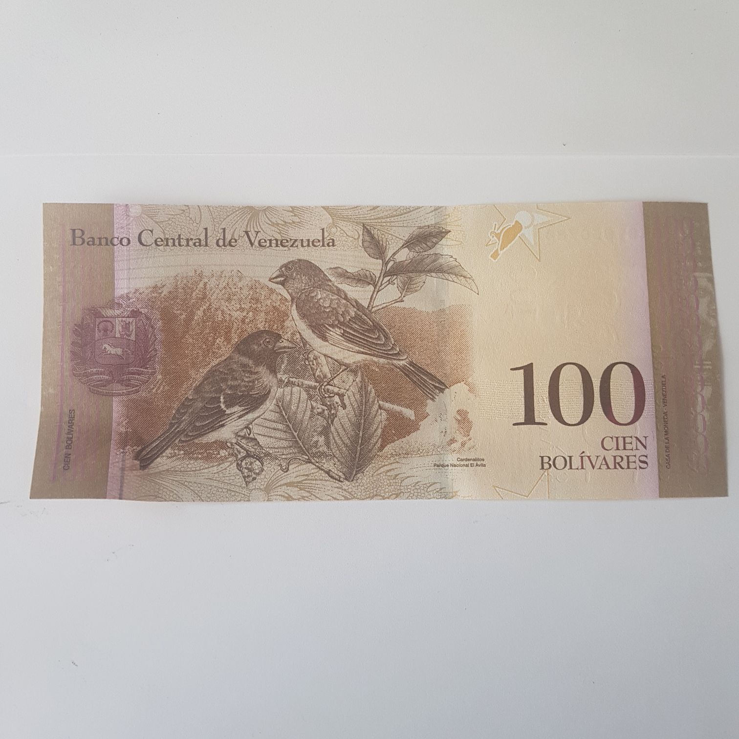 100 Bolívares  coin collectible - Main Image 2