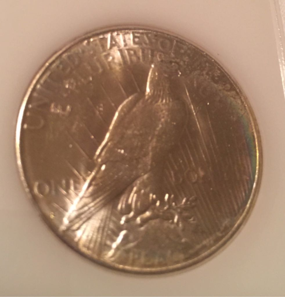 1923 S American Silver Eagle  coin collectible - Main Image 2