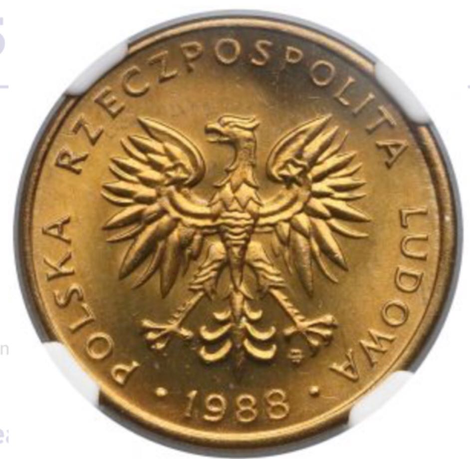 Poland 5 Zlotych  coin collectible - Main Image 2