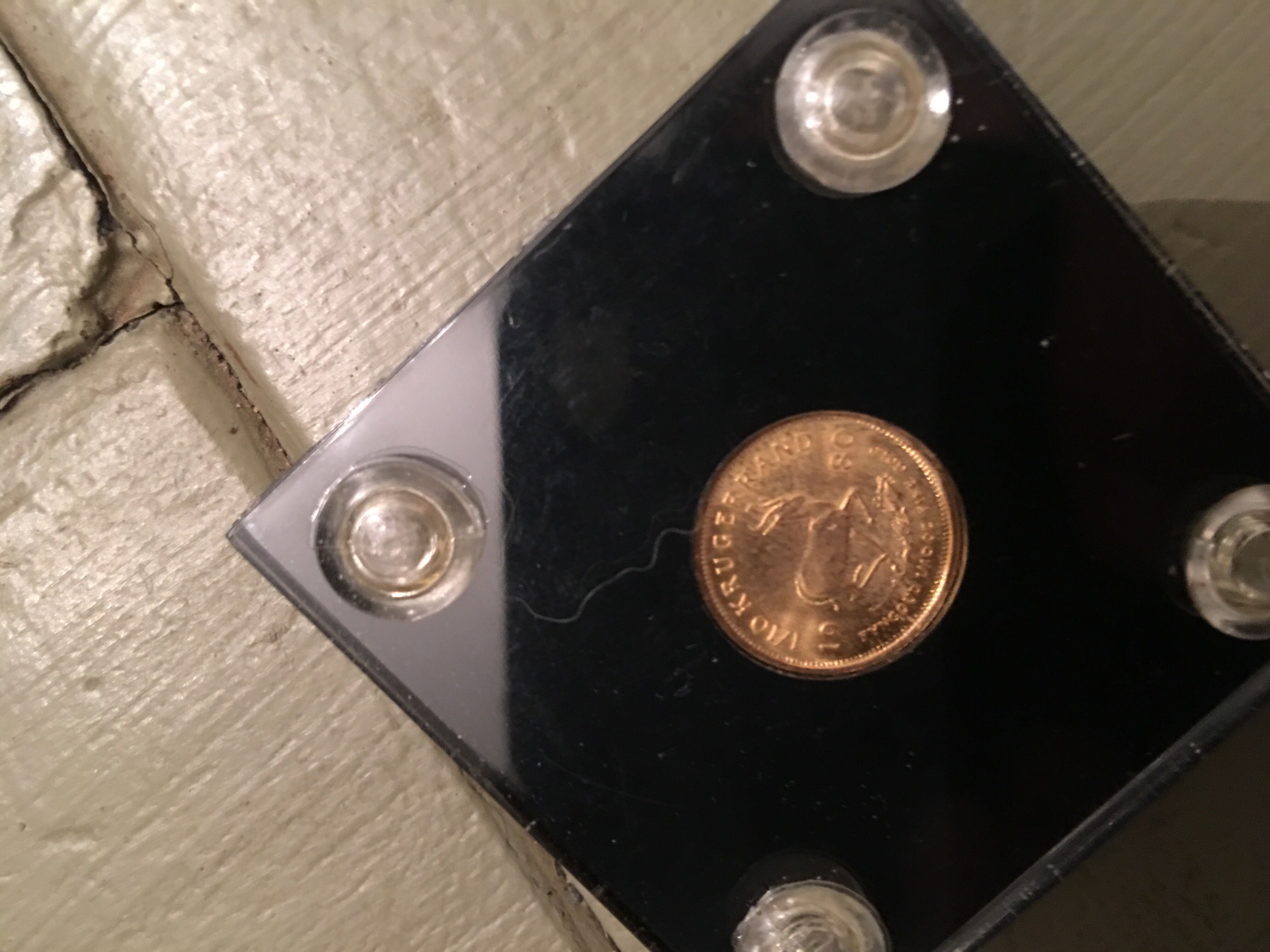 Krueger Rand 1/10oz  coin collectible - Main Image 2