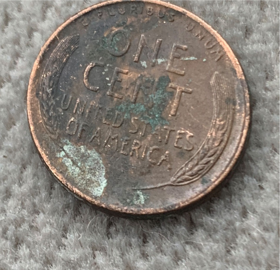 Wheat Penny  coin collectible - Main Image 3
